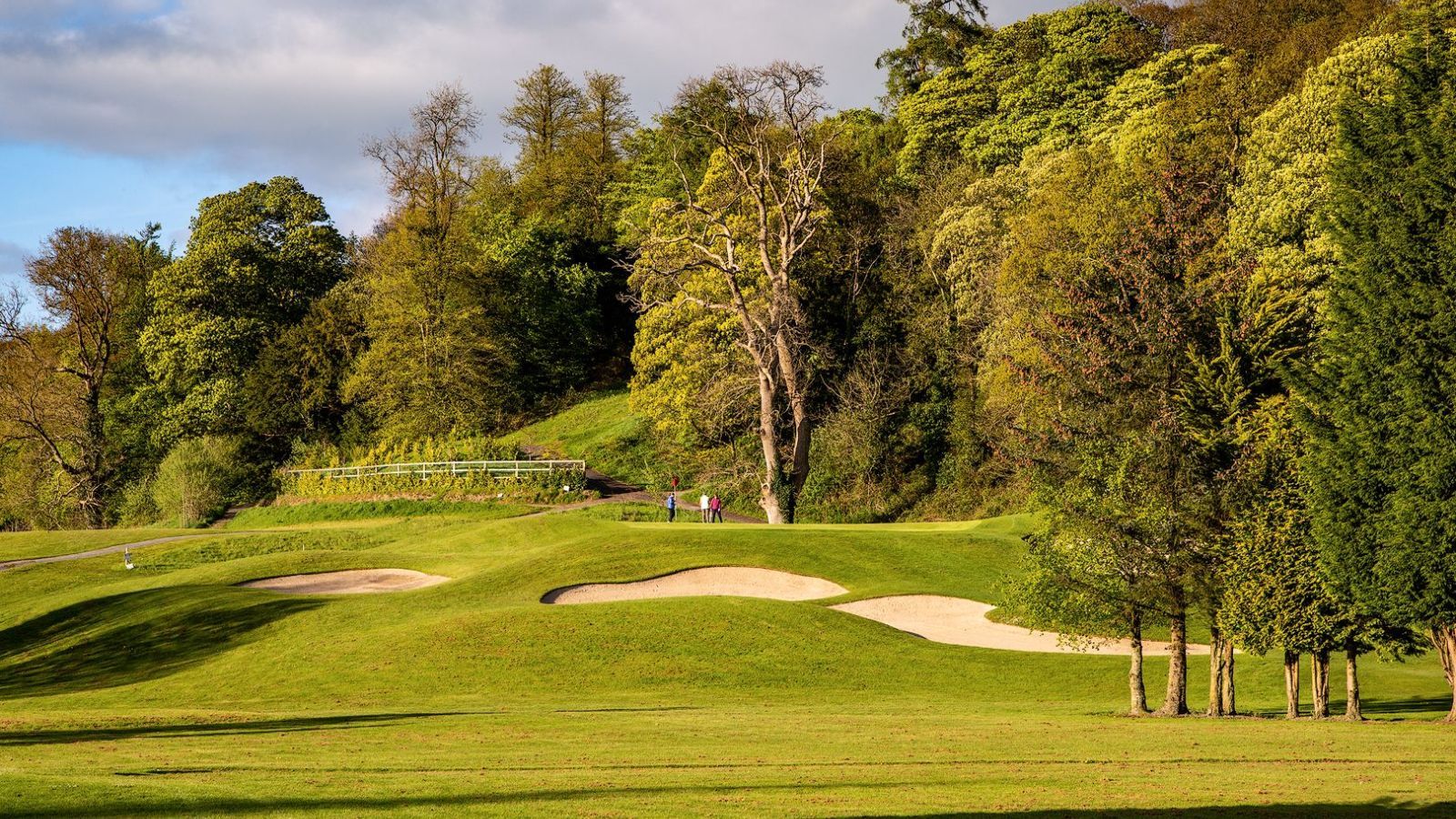 Golf (5)