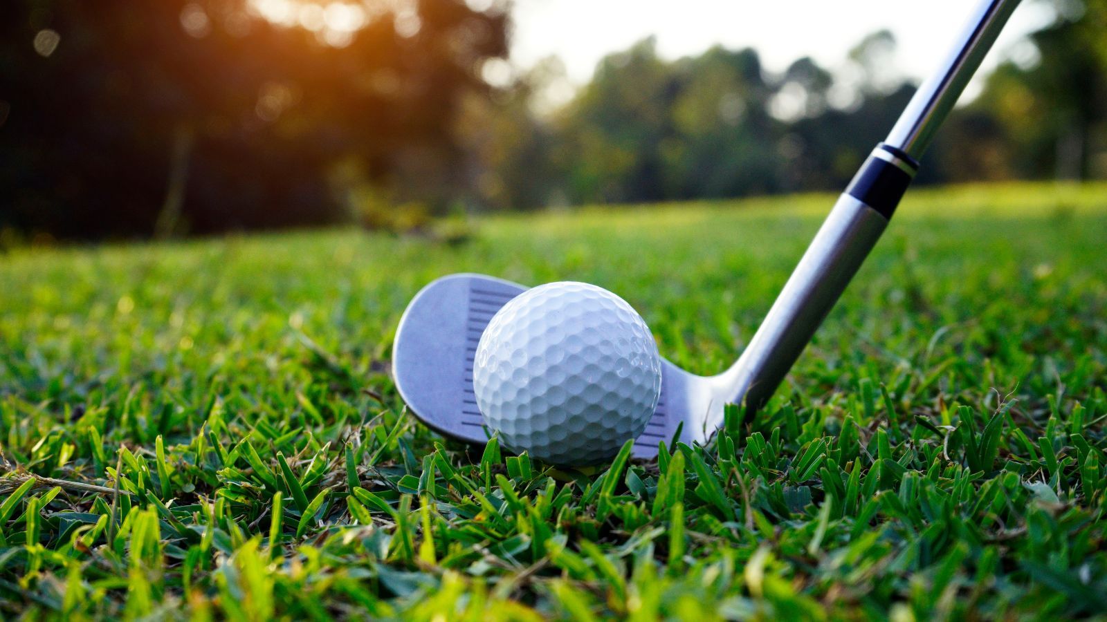 Golf (7)