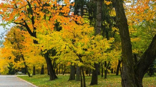 Autumnal Moments 